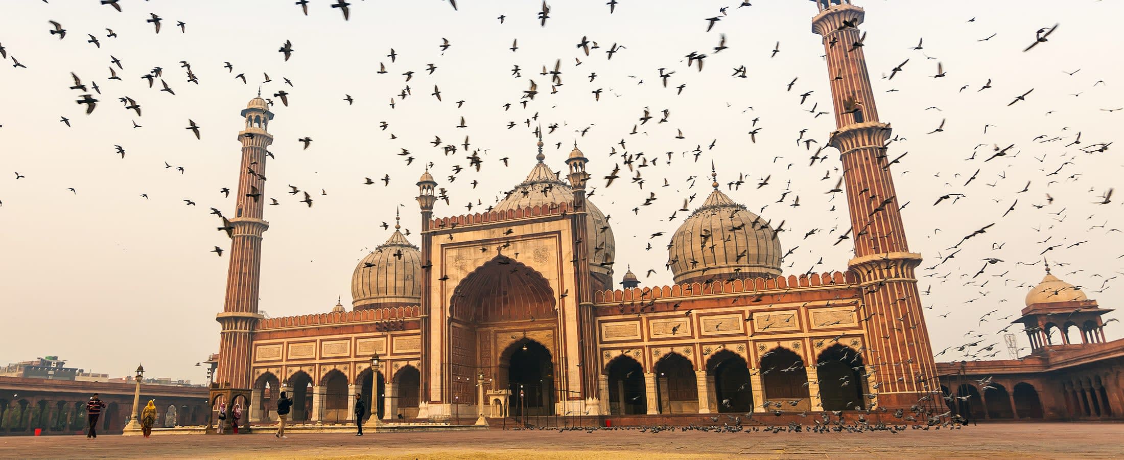 Jama Masjid, Delhi