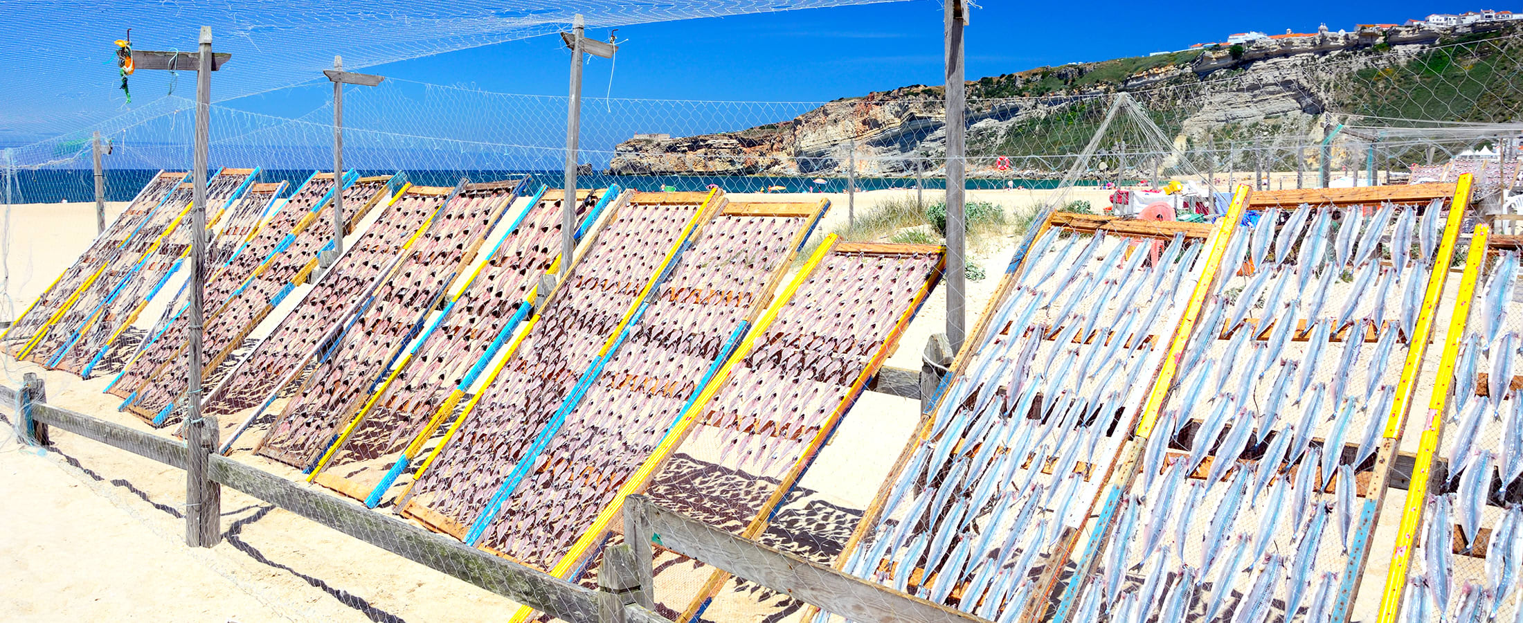 Fish drying, Nazaré