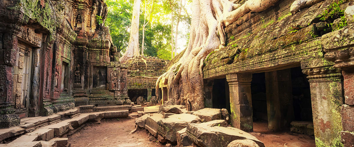 Ta Prohm Khmer Temple, Angkor Wat