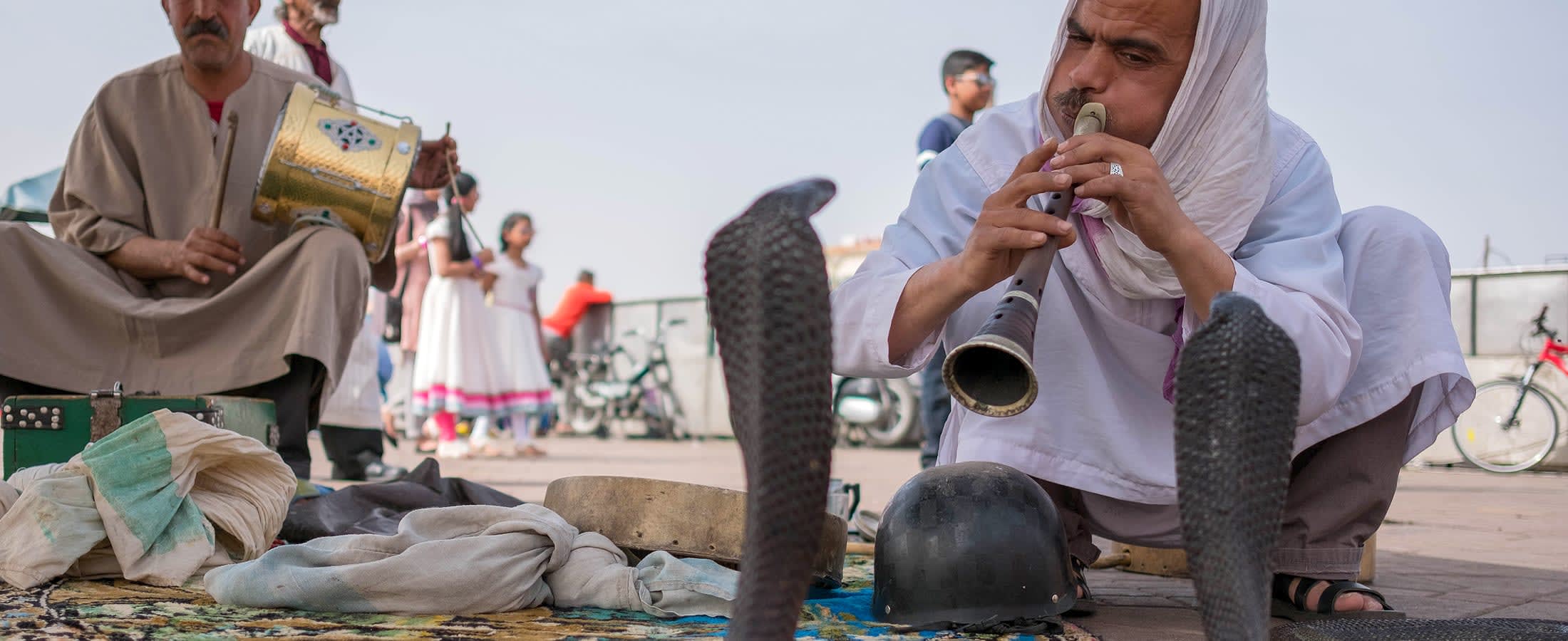 Snake charmer, Marrakesh