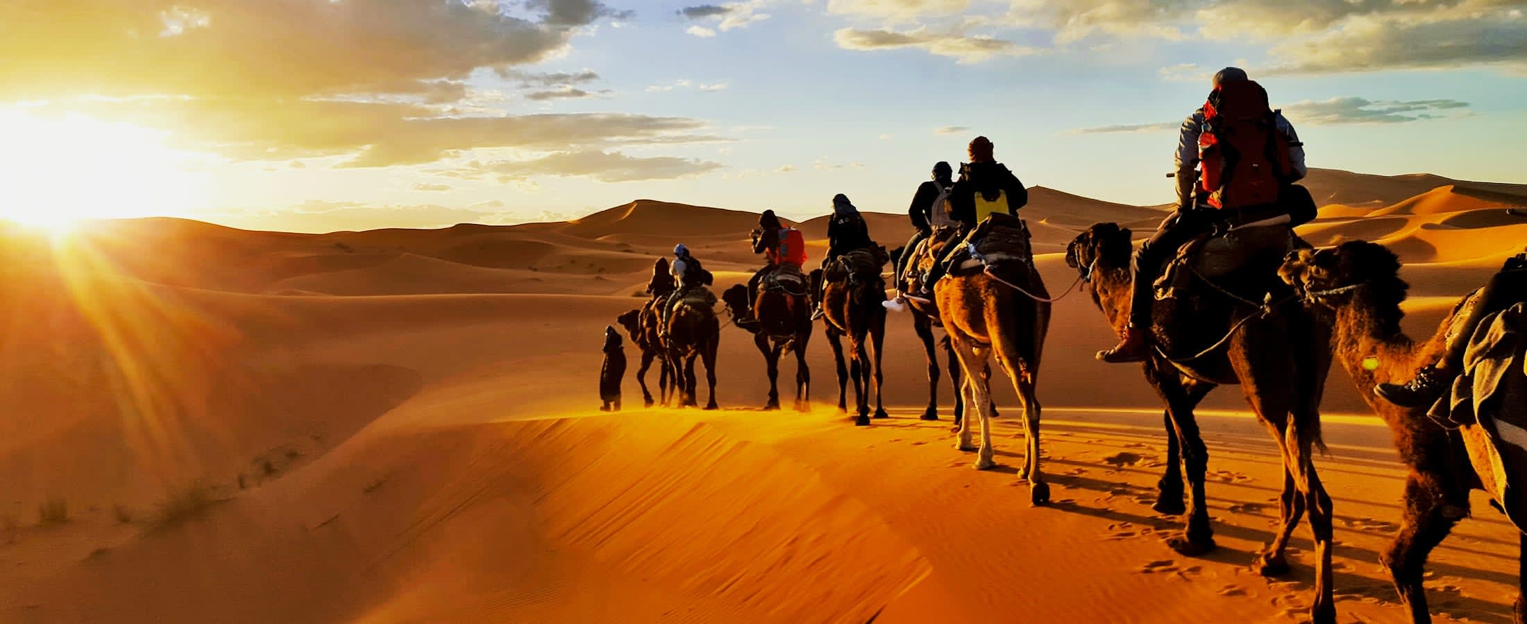 Camel caravan, Erg Chebbi