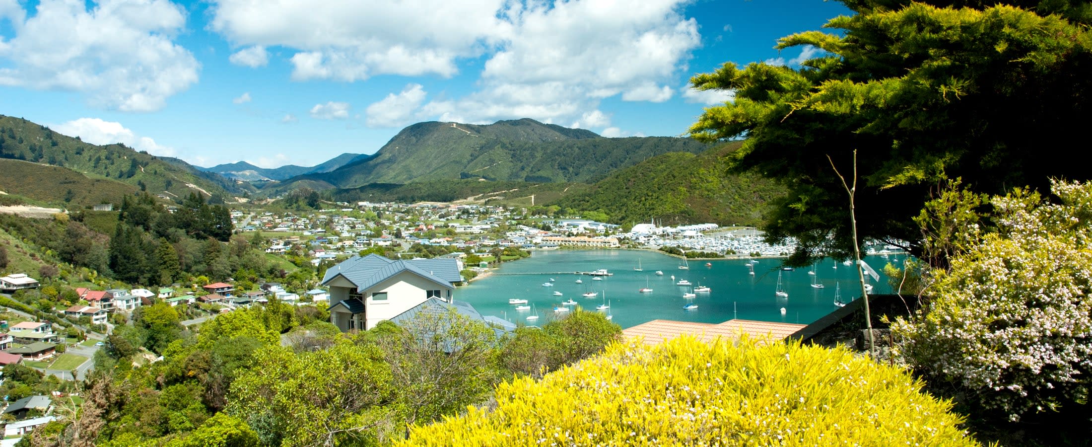 Aerial view of Picton