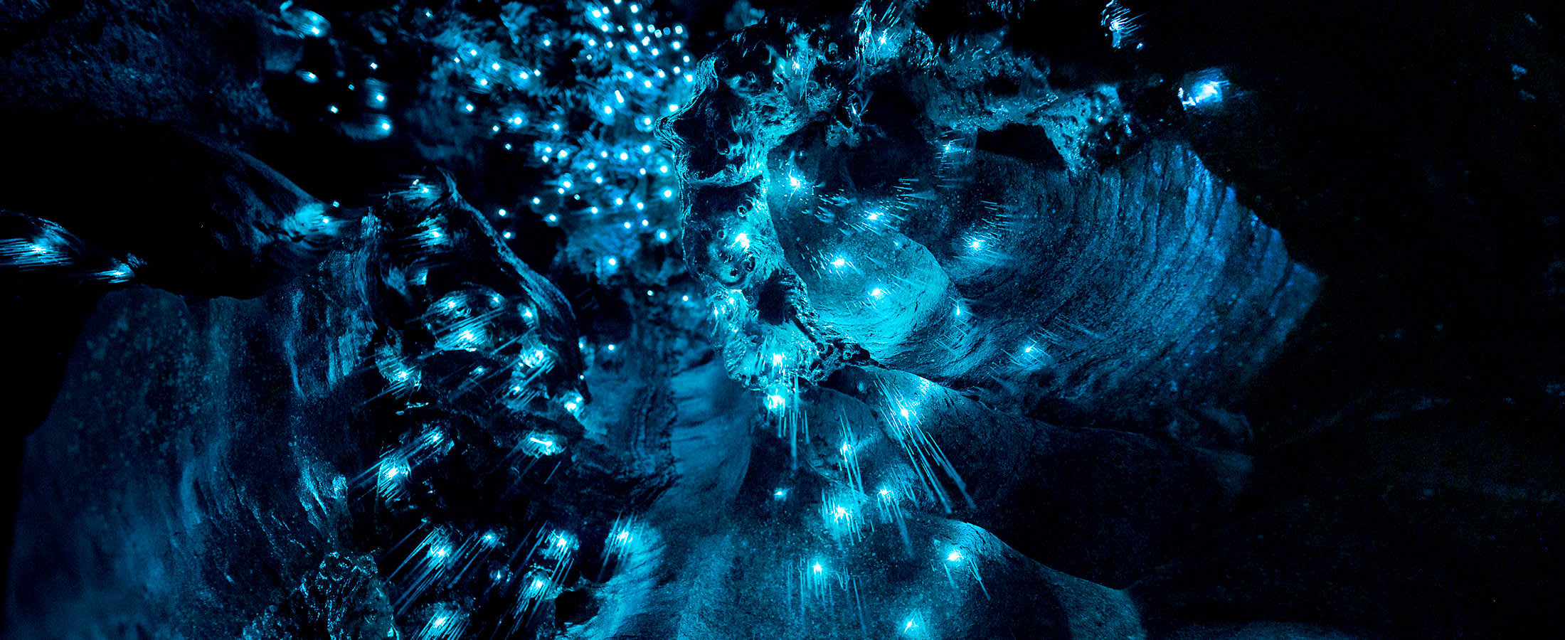 Te Anau Glowworm Caves