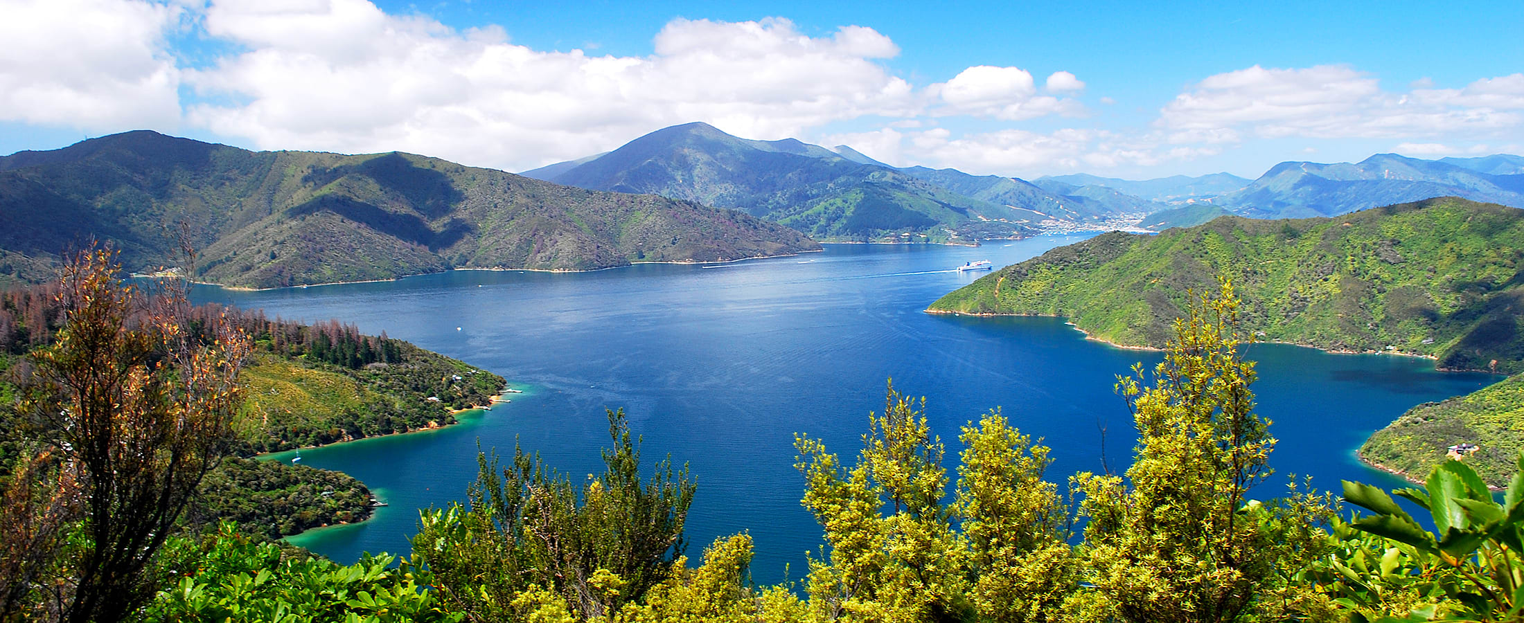 Marlborough Sounds