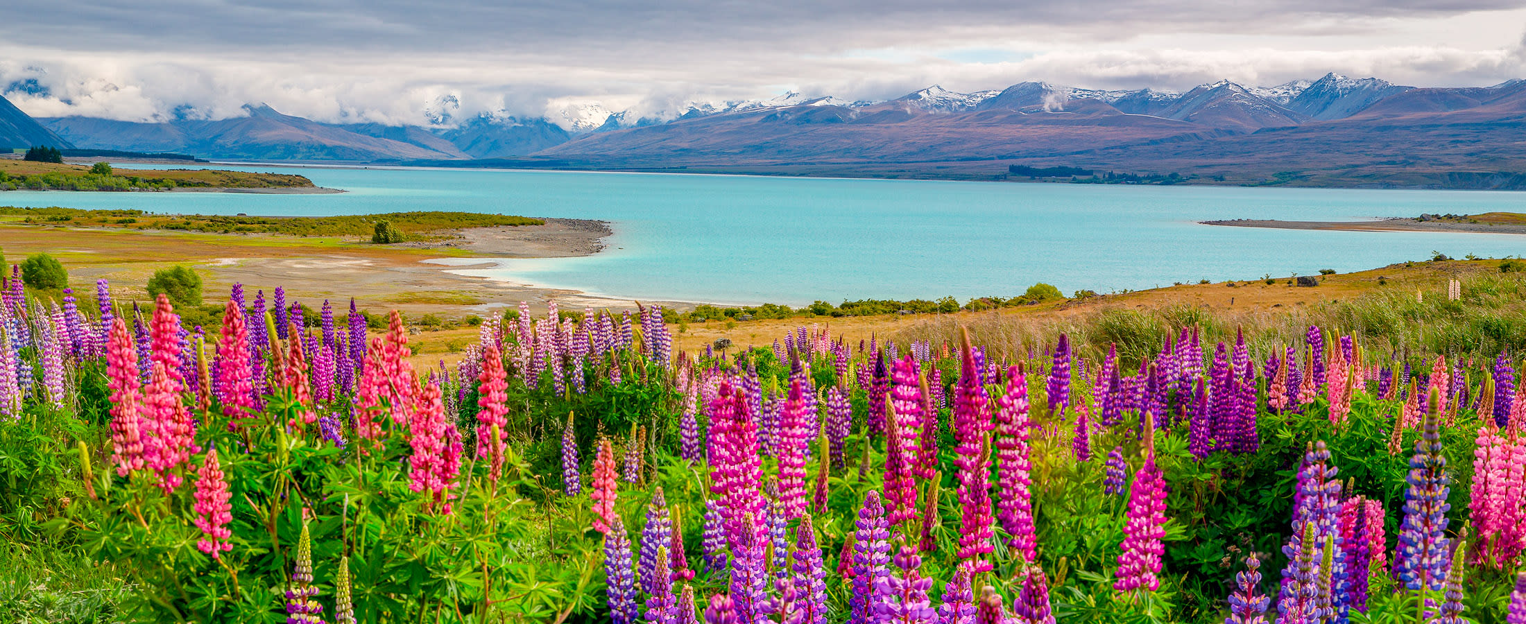 Lake Tekapo