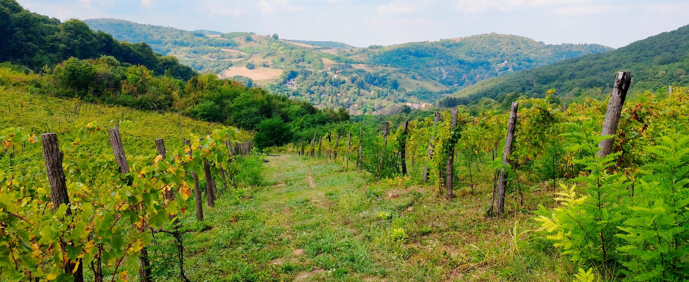 Fruška Gora National Park
