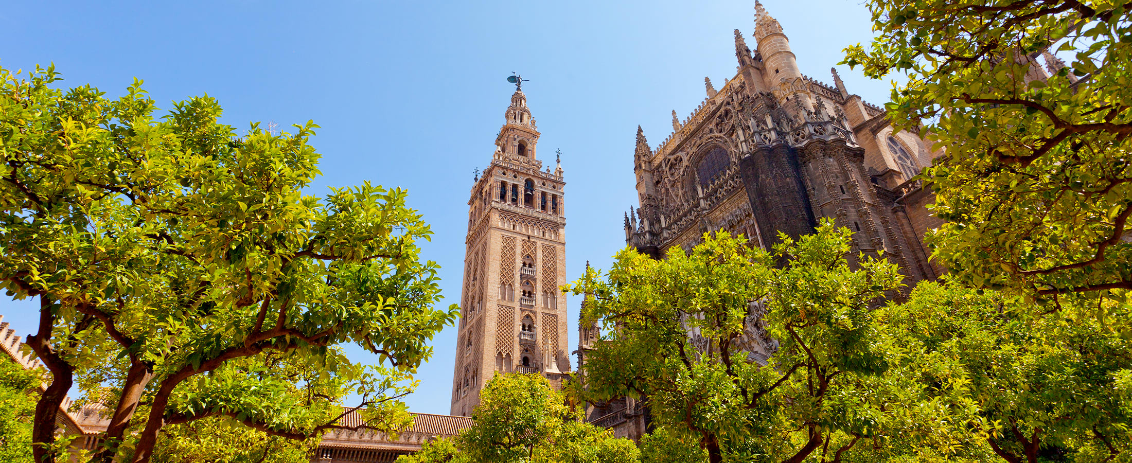 Seville Cathedral and Giralda Tower