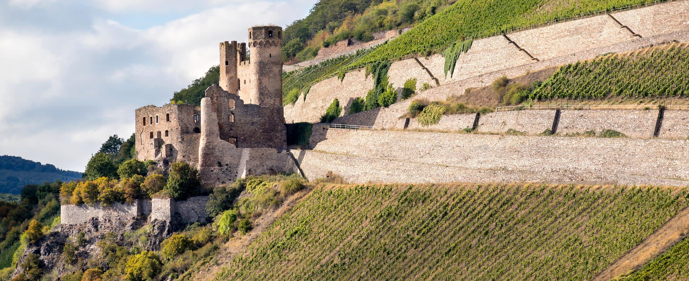 Ehrenfels Castle, Rhine Gorge