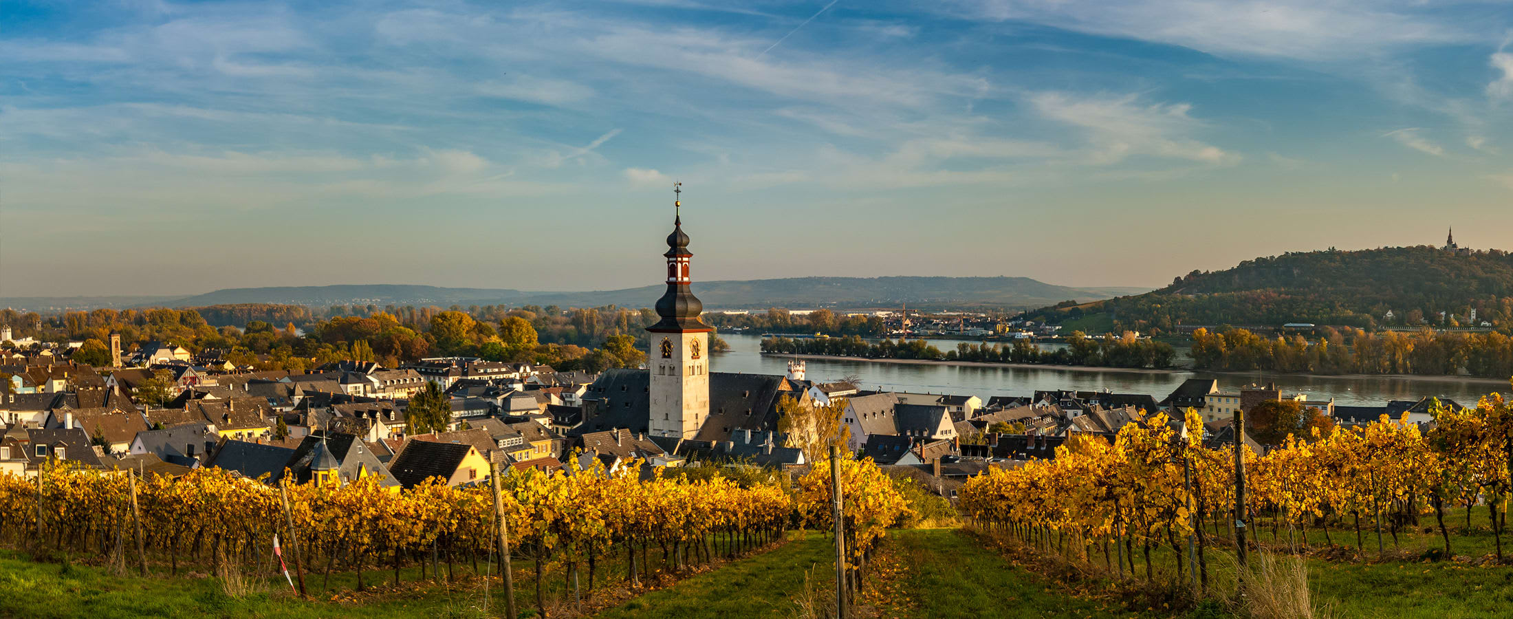 Rüdesheim panorama