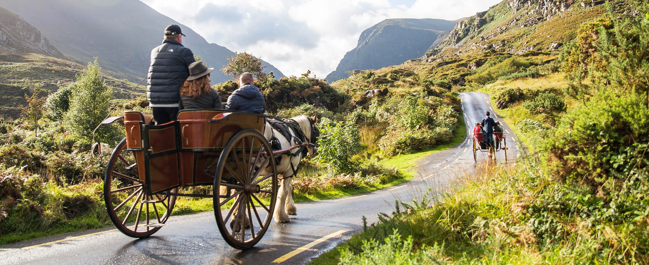 Jaunting Car Ride, Killarney National Park