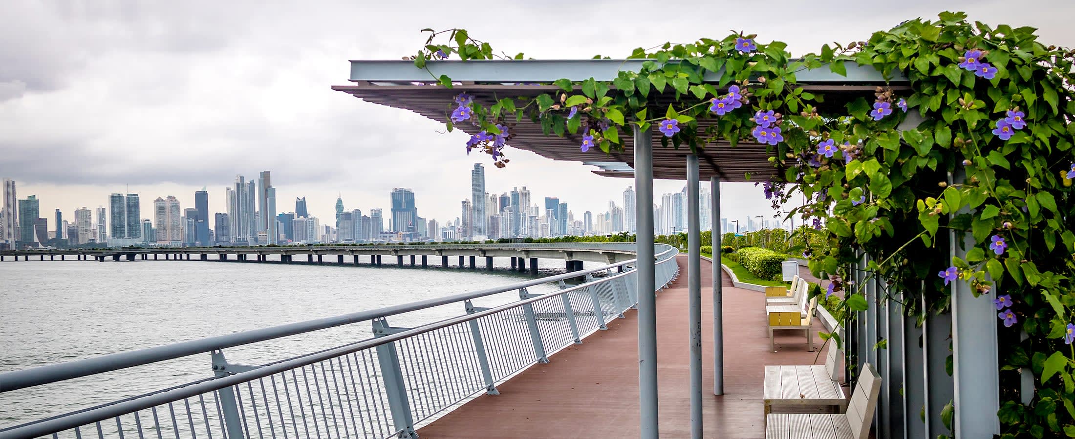 Cinta Costera, Panama-City