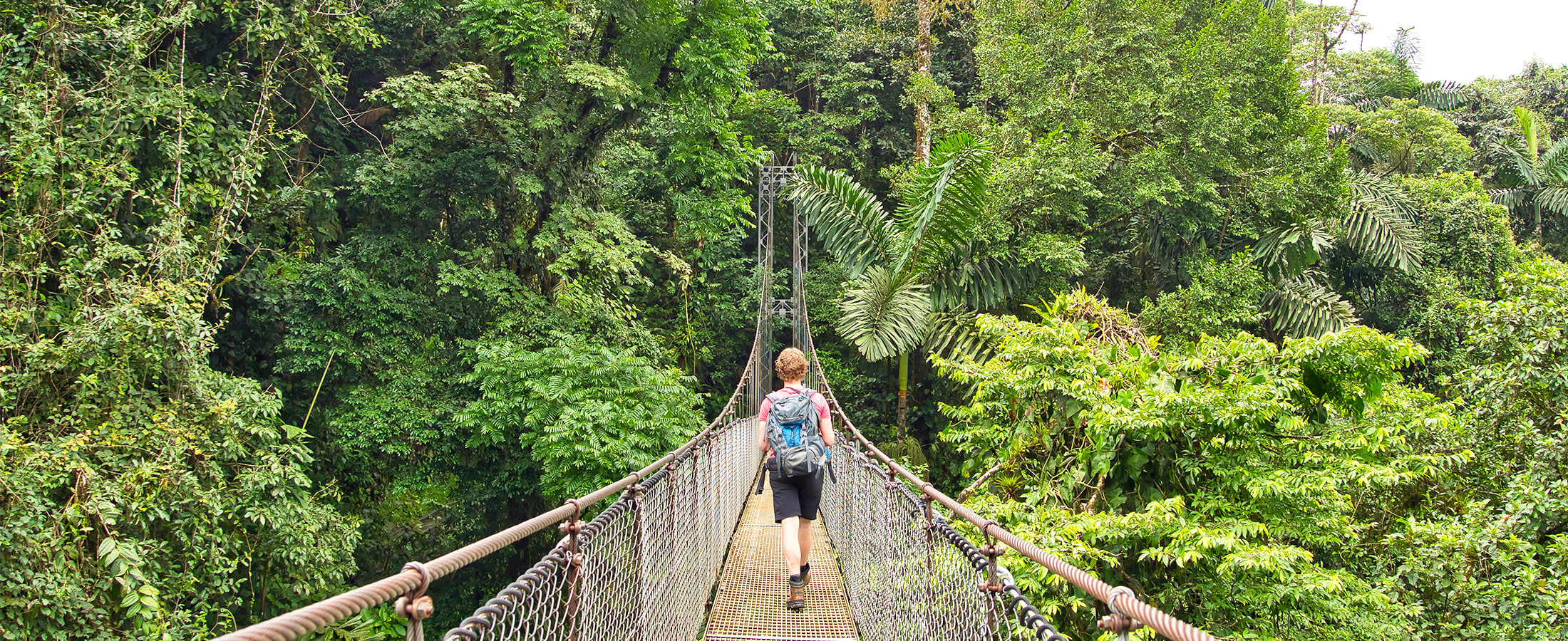Suspension bridge near Arenal, Costa Rica