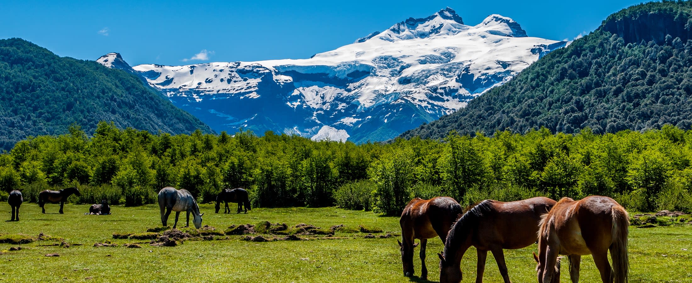 Cerro Tronador, Chile