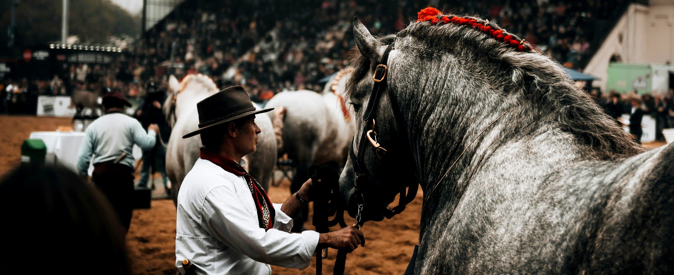 Guacho preparing for a "sortija"