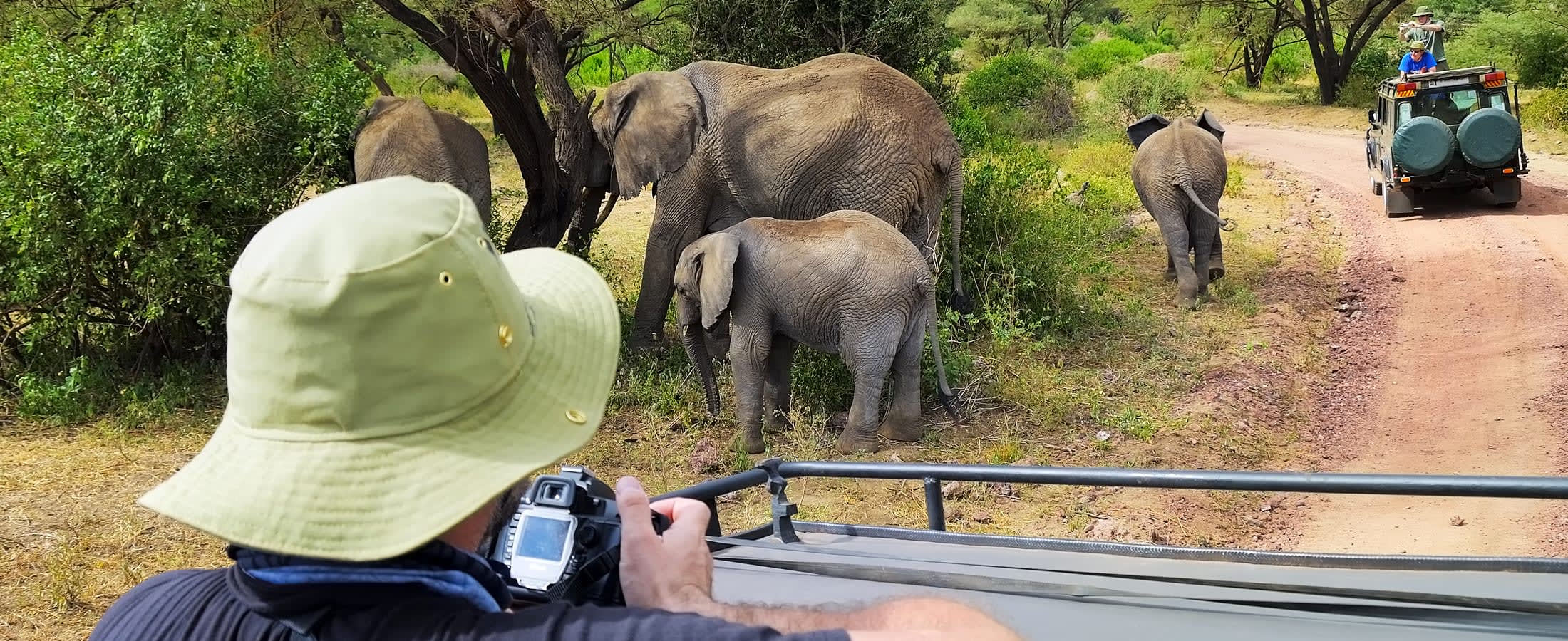 Game drive, Lake Manyara National Park