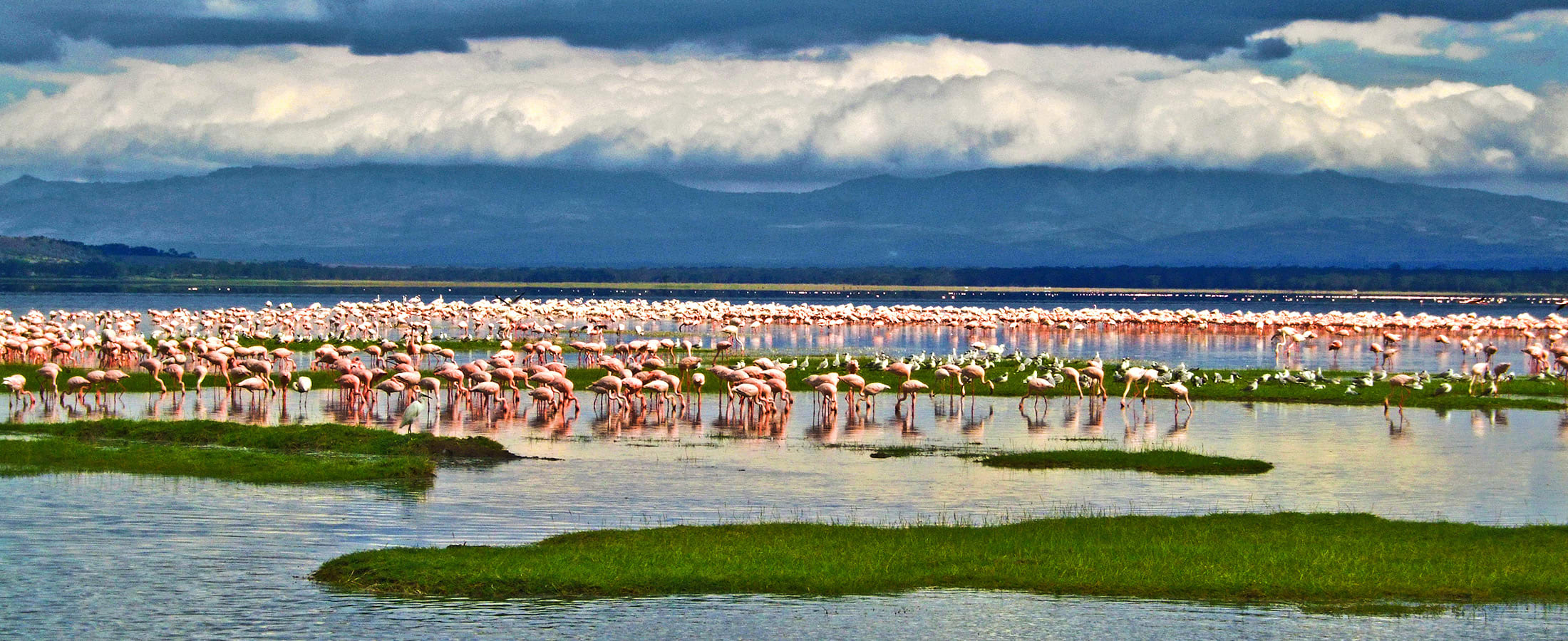Panoramic view of Lake Nakuru