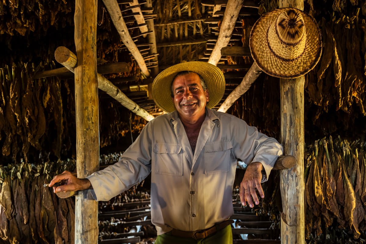 Tobacco farmer