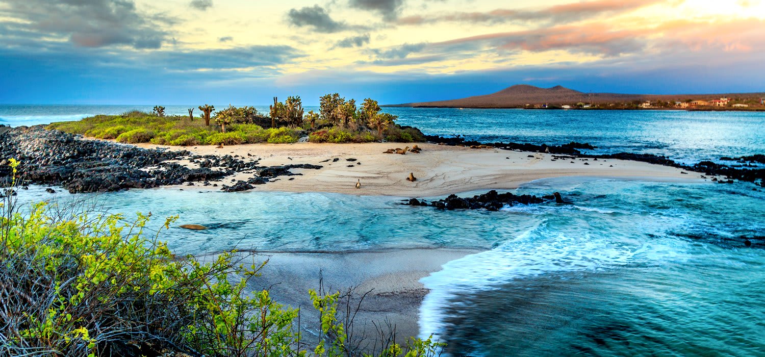 Galapagos panorama