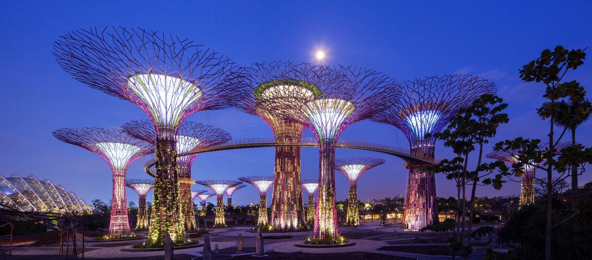 Singapore's Gardens By the Bay