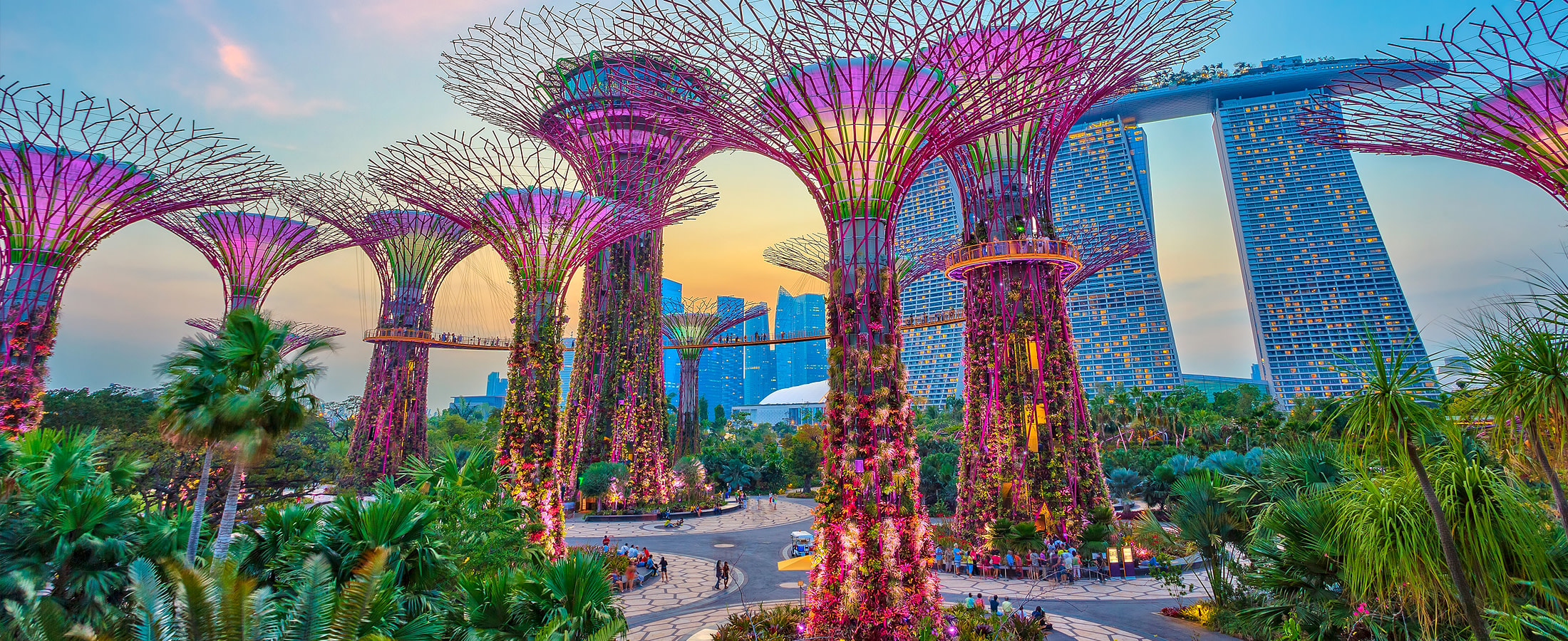 Supertrees, Singapore