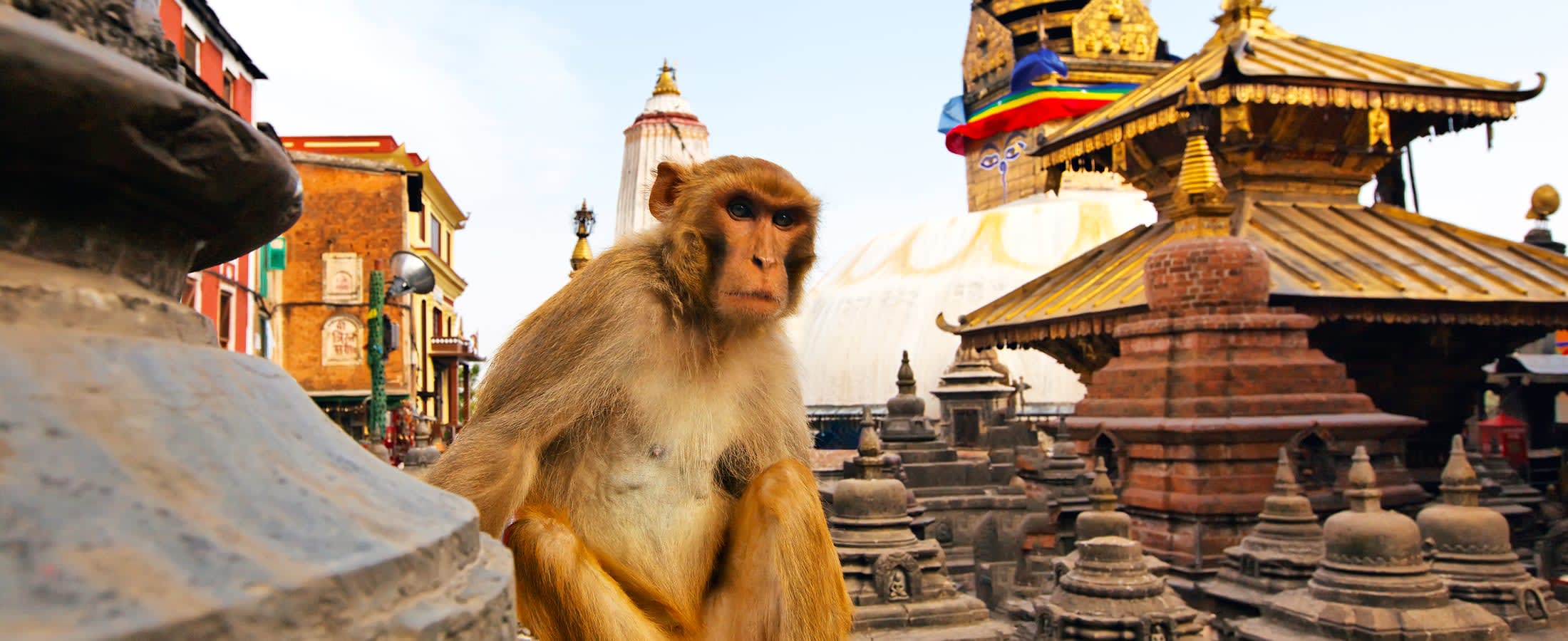 Swayambhunath
