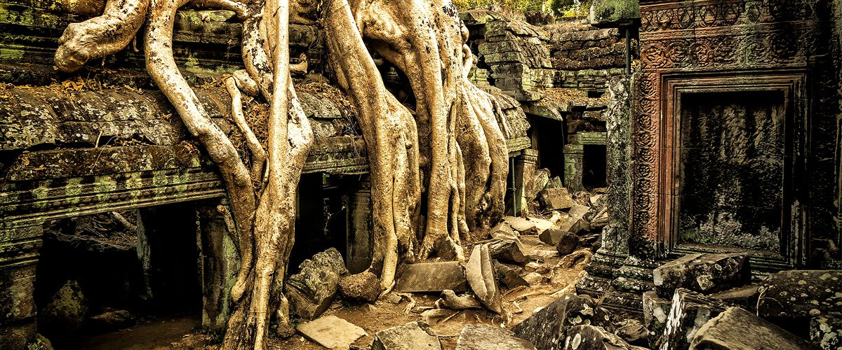 Overgrown roots, Angkor Wat