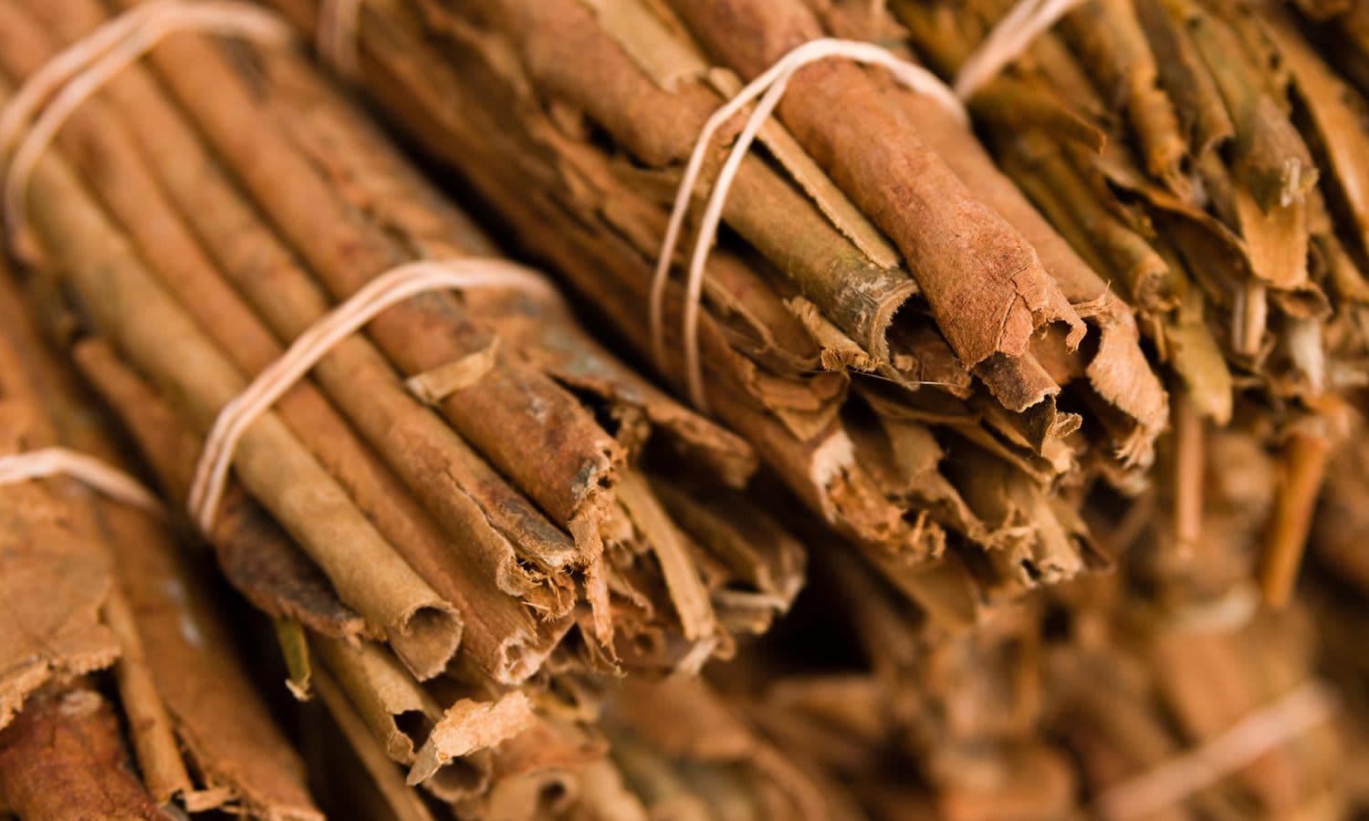 Cinnamon