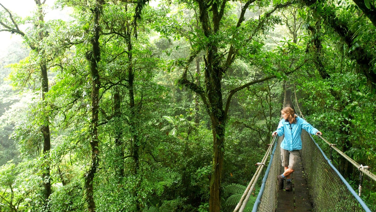 Hanging bridge, Montverde