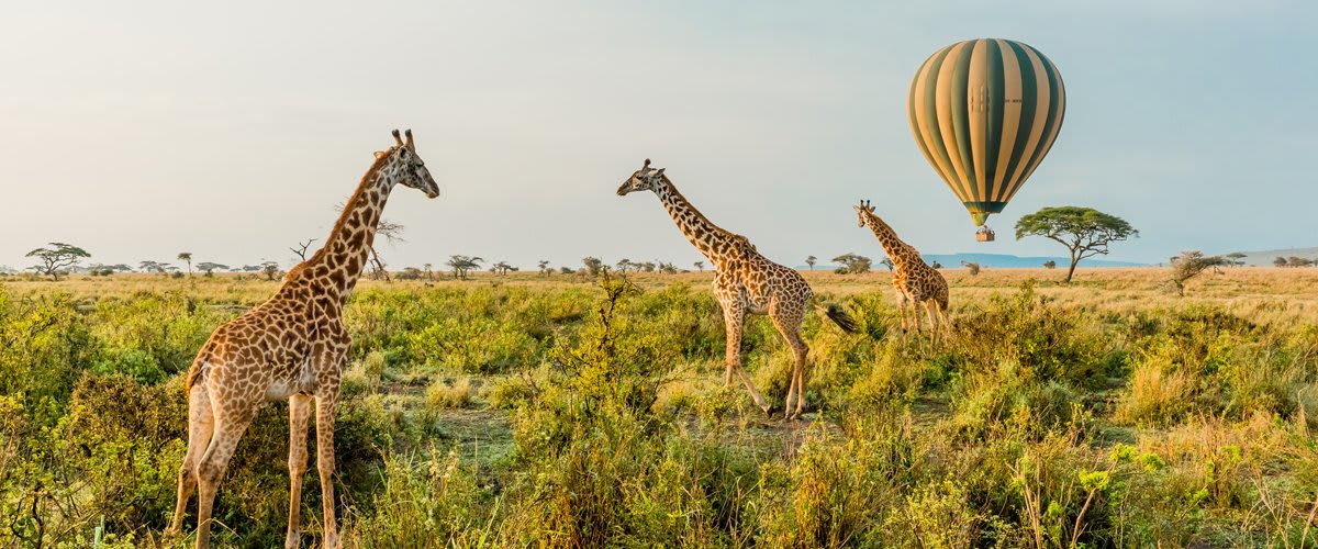Serengeti National Park