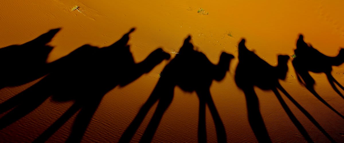 Long shadows, Erg Chebbi
