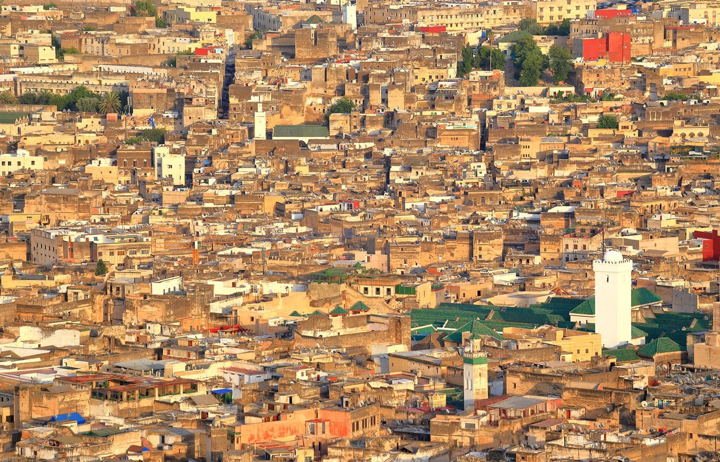 Fez