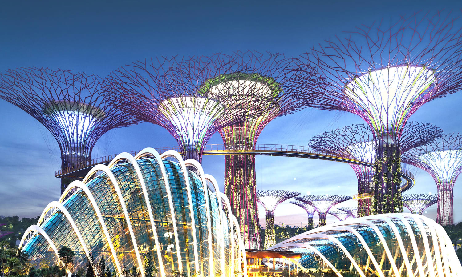 Gardens by the Bay Conservatories and Supertree Grove, Singapore