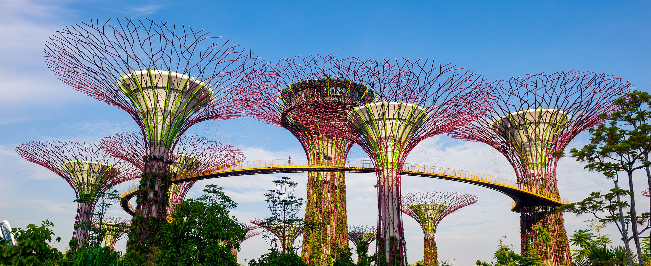 Supertrees