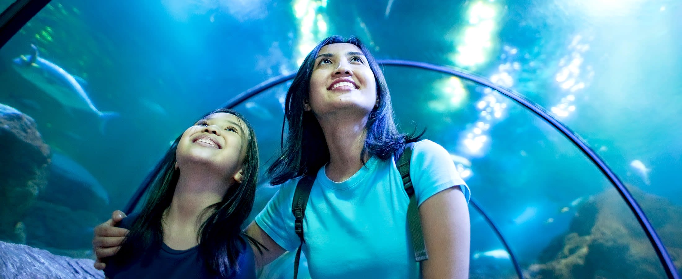 S.E.A. Aquarium