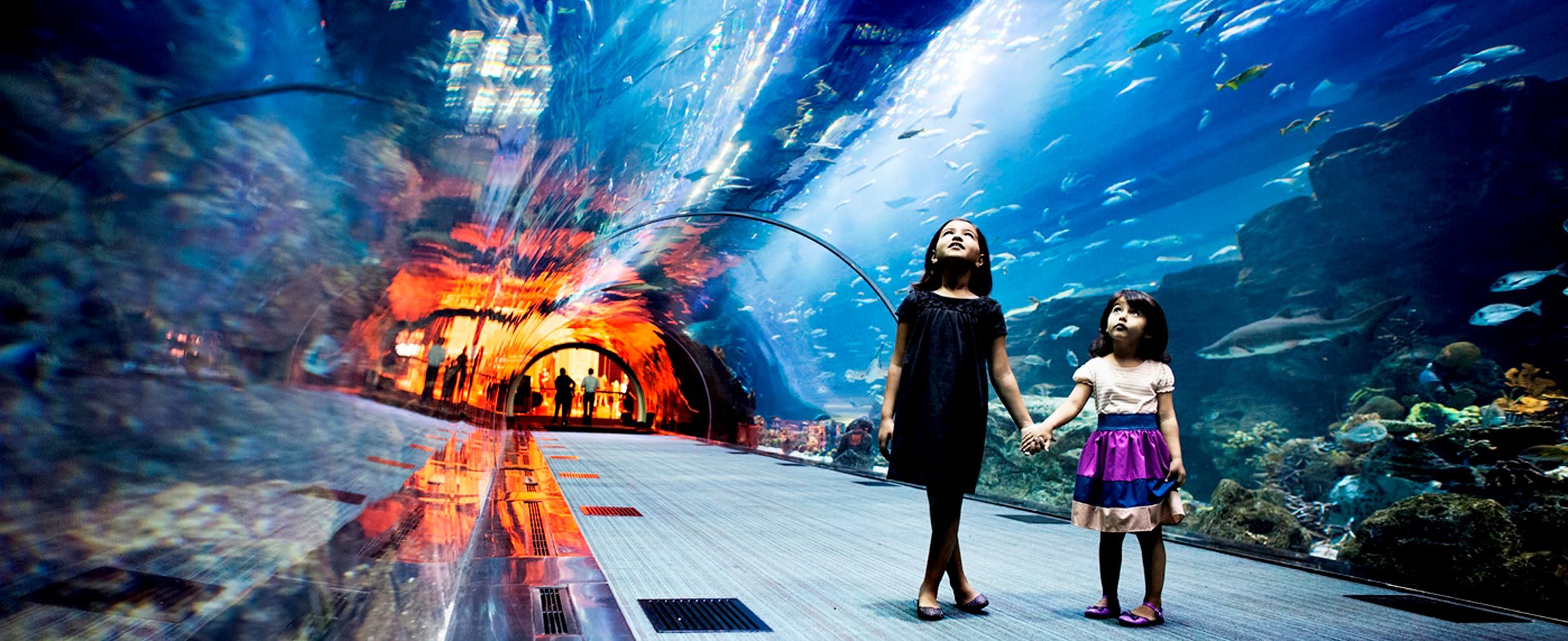 DUbai Aquarium