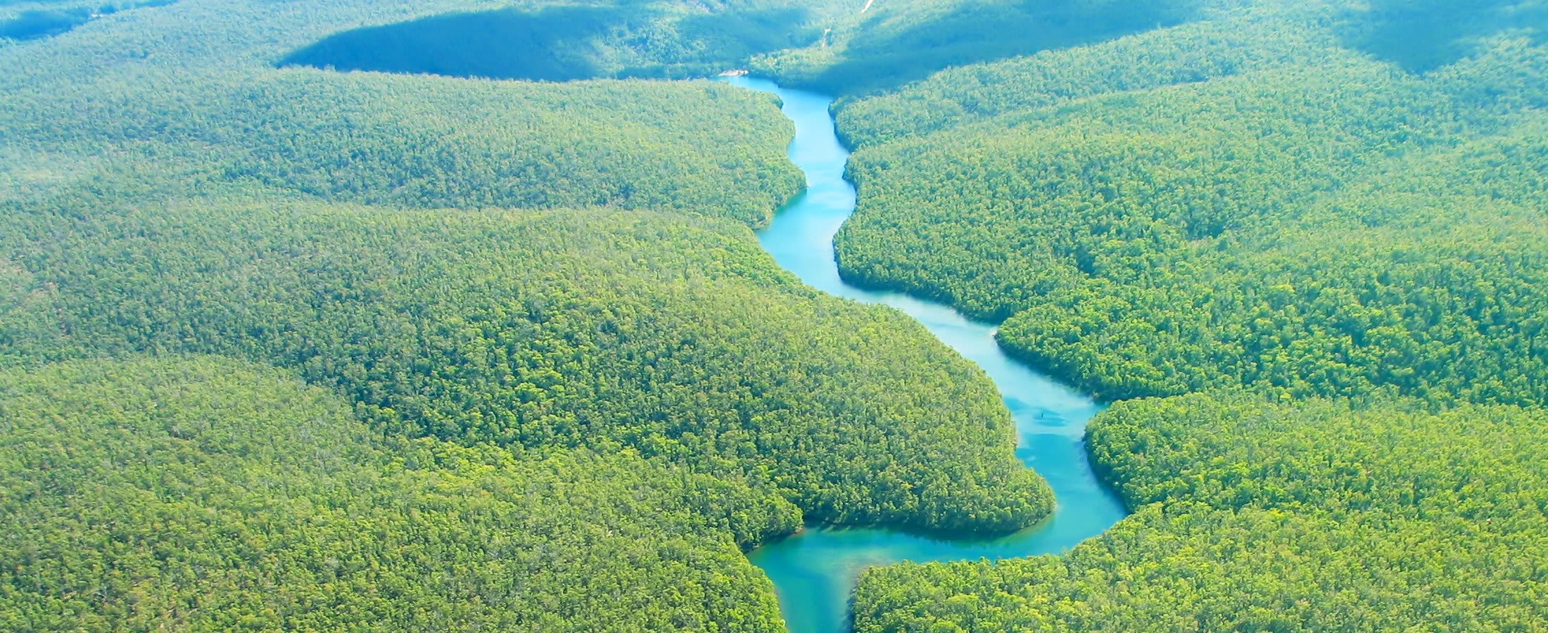Aerial view of the Amazon Rainforest