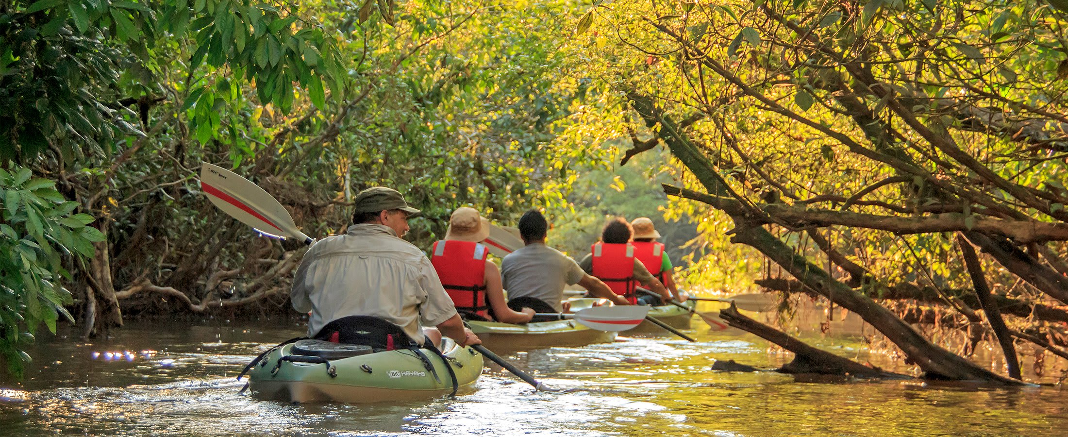 Kayaking, Amazon Rainforest