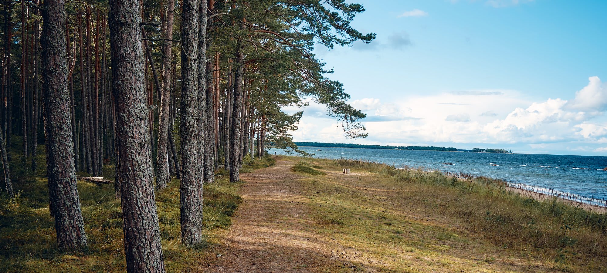 Baltic Sea and Estonia coastline