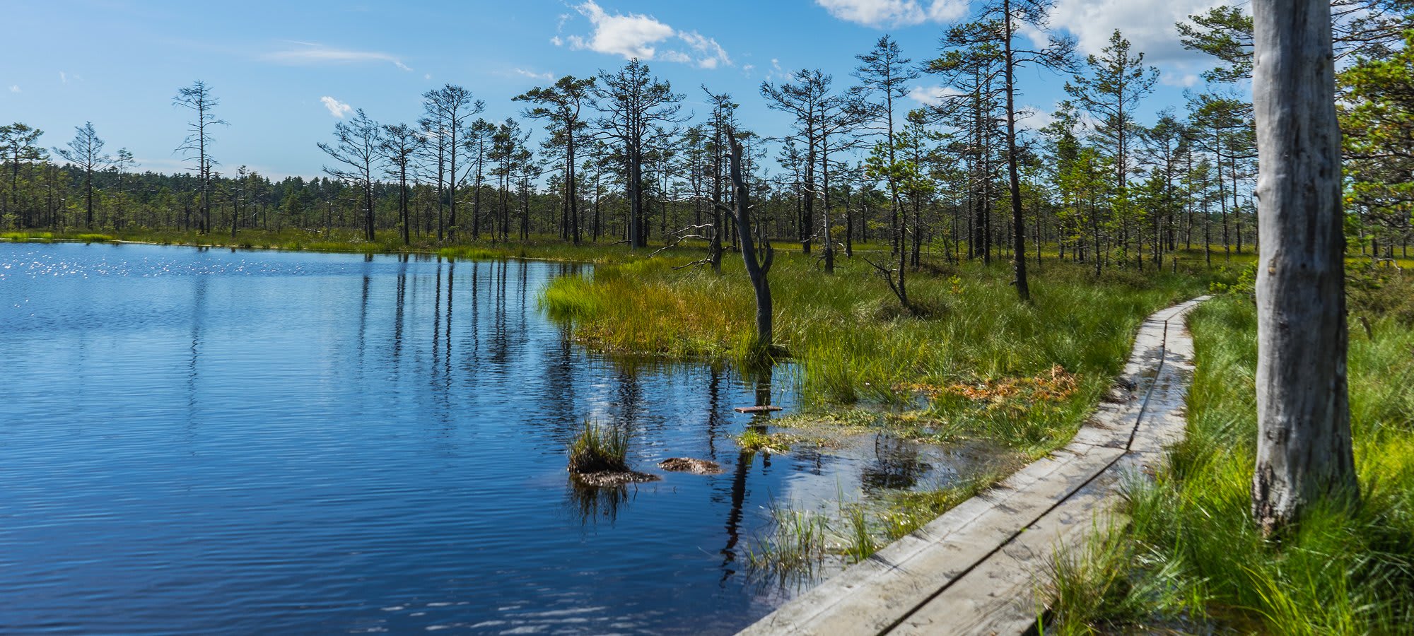 Laheema National Park