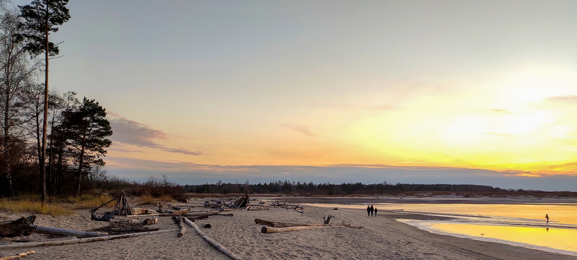 Gauja National Park at sunset