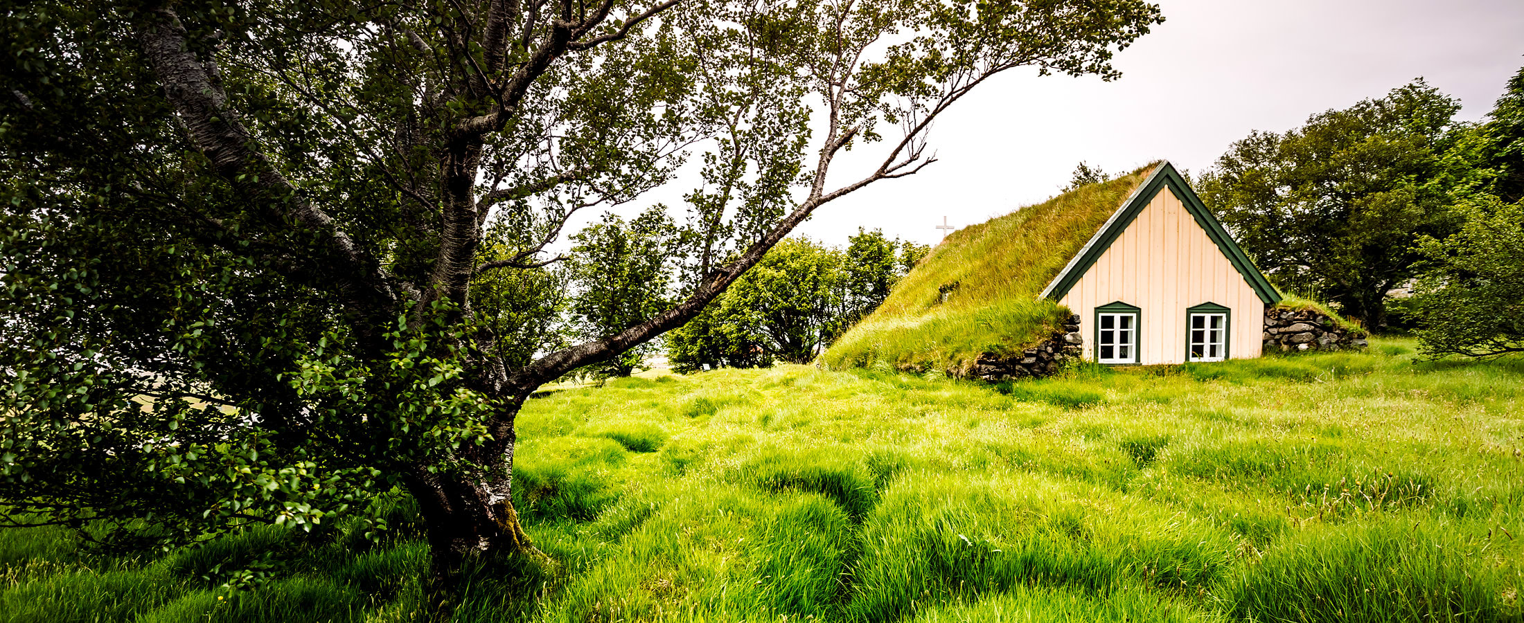 Turf church, Hof
