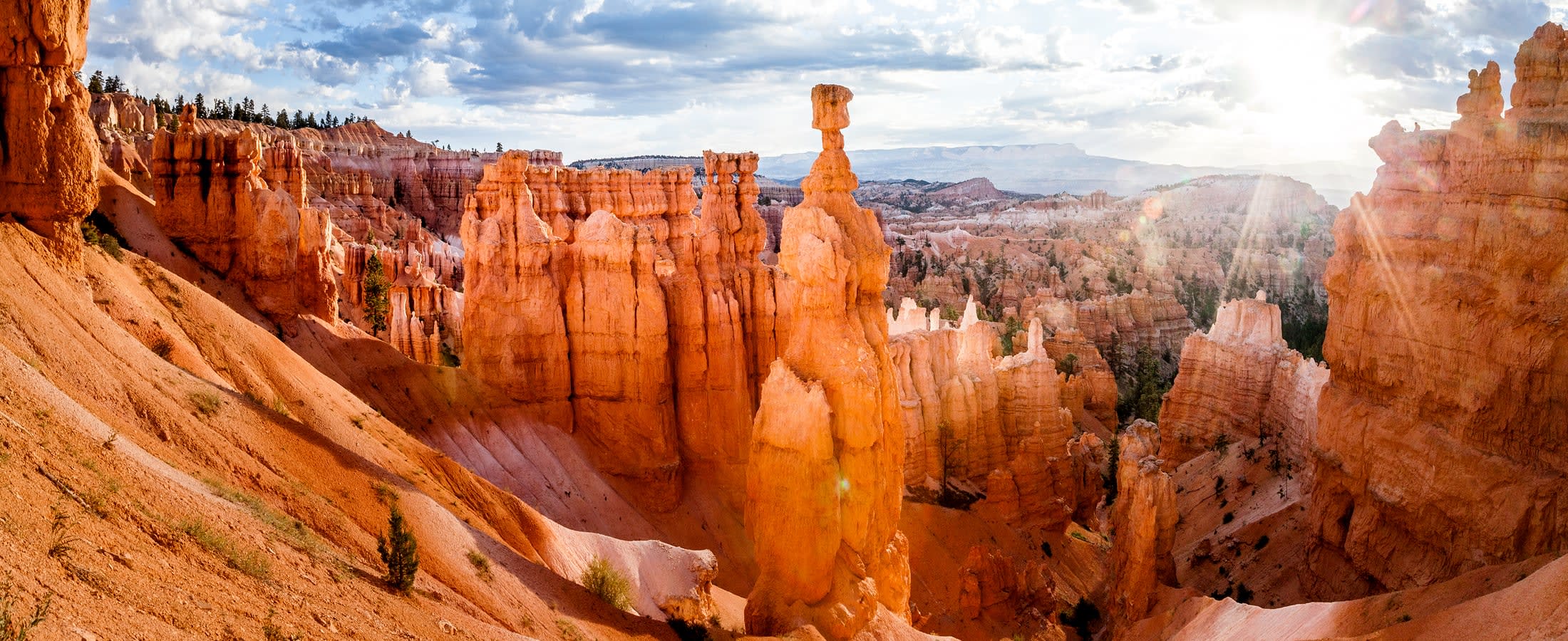 Hoodoos & Thor's Hammer, Bryce Canyon National Park, Utah
