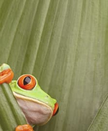 Nature and Wildlife