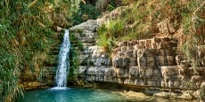 Ein Gedi