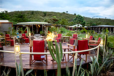 Zebra Plains Mara Camp