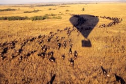 Balloon safari, Masai Mara 