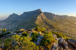 Table Mountain, Cape Town 