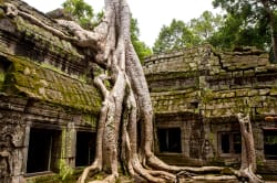 Ta Prohm doorway Photo by Daniel Lienert on Unsplash