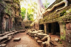 Ta Prohm 