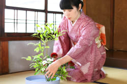 Ikebana 